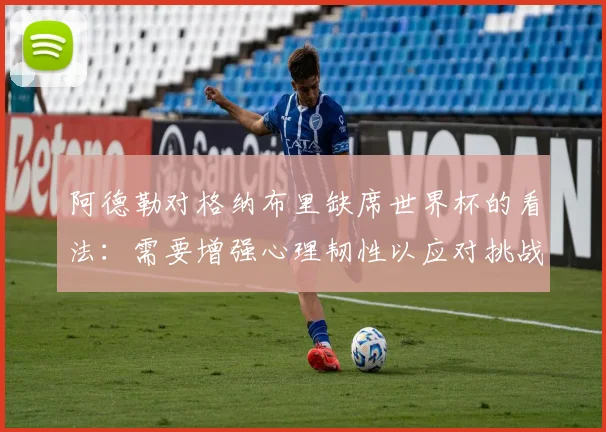 阿德勒对格纳布里缺席世界杯的看法：需要增强心理韧性以应对挑战