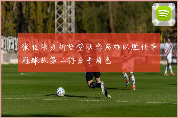 张佳玮分析哈登状态或难以胜任争冠球队第二得分手角色